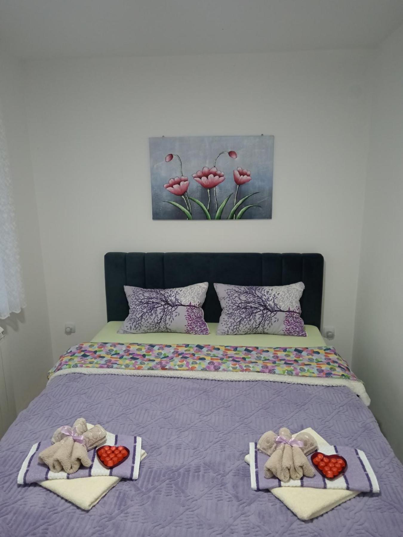 Apartman Lara Pirot Ruang foto