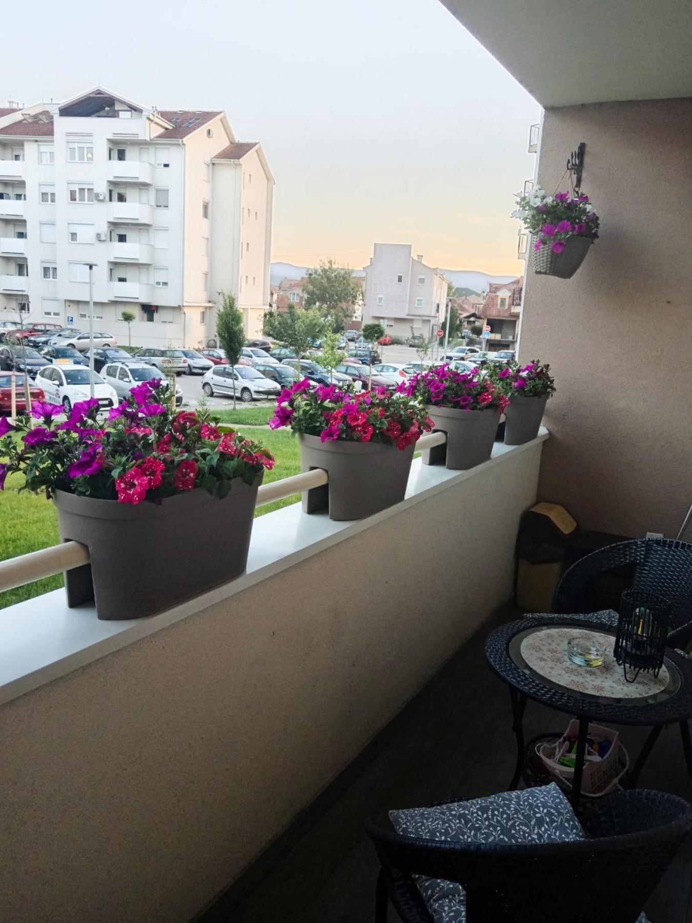 Apartman Lara Pirot Bagian luar foto