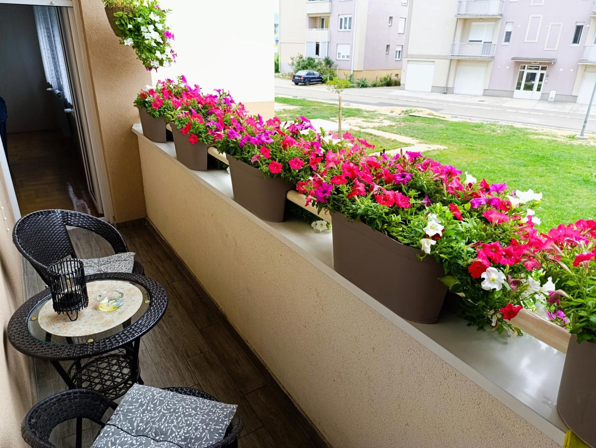 Apartman Lara Pirot Bagian luar foto